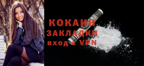 крисы Няндома