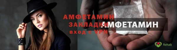 крисы Няндома