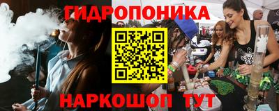 дмт Будённовск