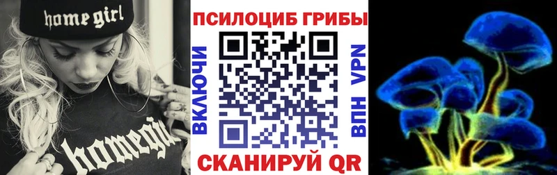 Псилоцибиновые грибы Cubensis Изобильный