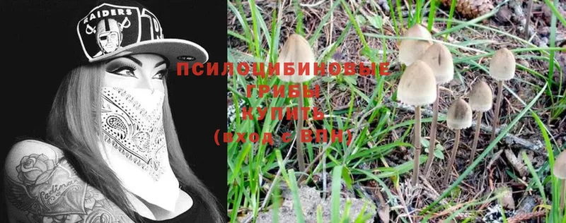 Галлюциногенные грибы Cubensis  Изобильный 