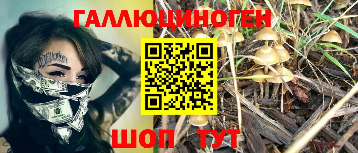 Псилоцибиновые грибы Cubensis Изобильный