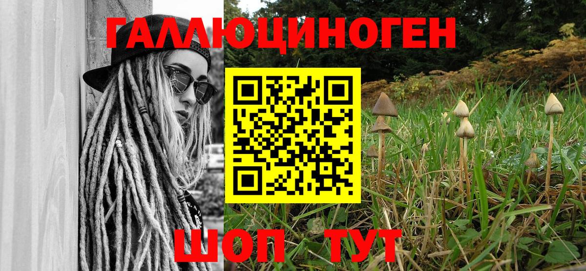 что такое   Вход с VPN  Галлюциногенные грибы GOLDEN TEACHER  Изобильный  Галлюциногенные грибы GOLDEN TEACHER 